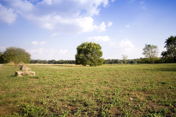 Summer in the rural