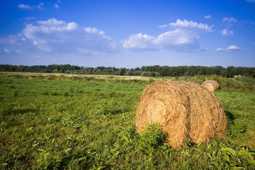Summer in the rural