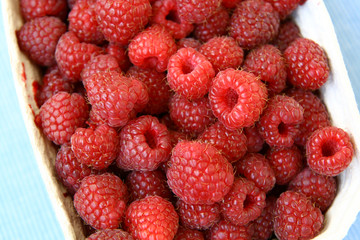 sweet red raspberries in box, Rubus idaeus