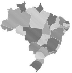 Carte Brésil Camaieu Argent  - Brasil Map
