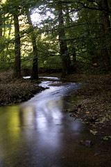 Waterfall in autumn