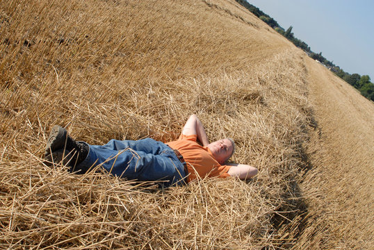 relax dans un champ de blé