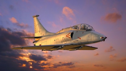 Obraz premium military airplane