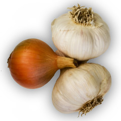 bulb and garlic on white background 