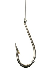 Fishing Hook