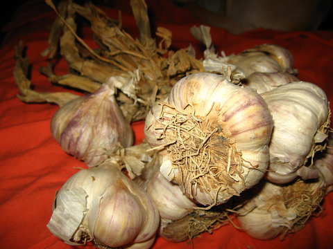 ail