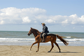 cheval sur la plage