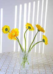 morning bouquet of Gerbera Daisies