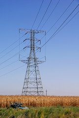 Electrical Towers and Corn