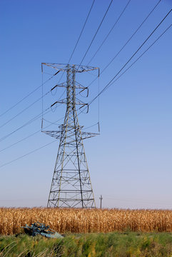 Electrical Towers and Corn