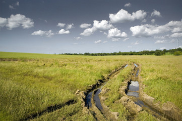 Tire Tracks in Field