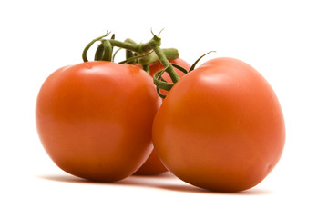 Tomatoes on the vine