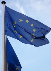 Flag of the european union