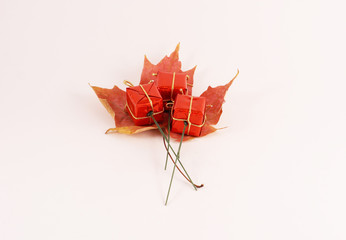 red gift on maple