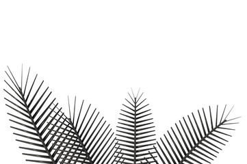 3D render of palm tree