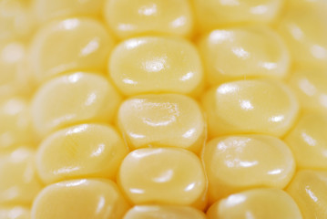 Corn3