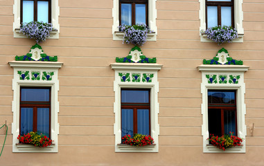 window 1