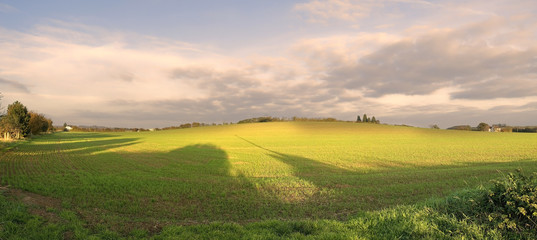 farmland