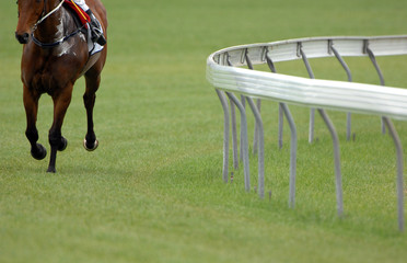 A single race horse on an empty track.