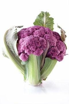 Purple Cauliflower