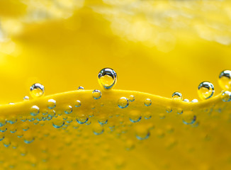 Bubbles on yellow lilly