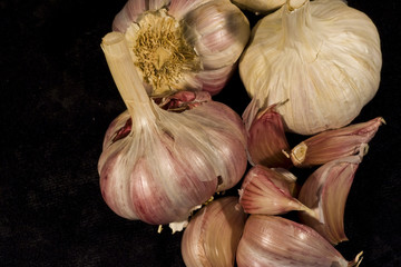 Knoblauch