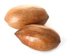 Pecan nuts isolated on white background