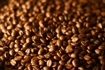 Grains of coffee