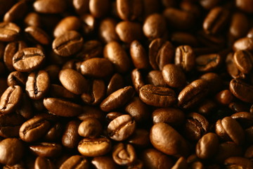 Obraz na płótnie Canvas Grains of coffee