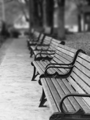 Paris Park Benches