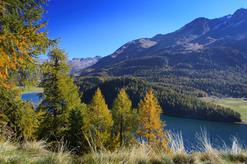 Fototapeta na wymiar Swiss jesień w Alpach