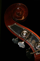 contrabass