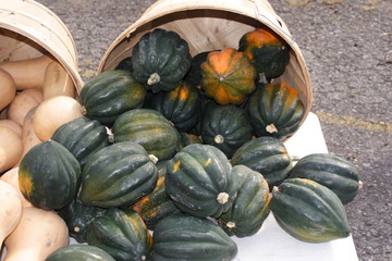 Squash for sale at farmers market
