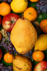 Naklejka na ściany i meble Yellow pear over blurred fruit background