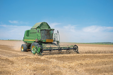 Fototapeta premium moisson des blés