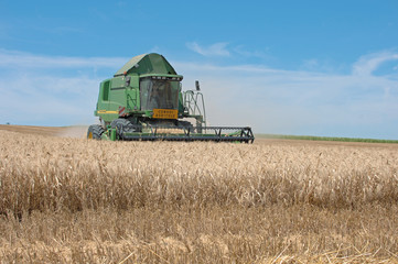 Fototapeta premium moisson des blés