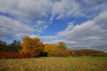 Sous le ciel, l'automne