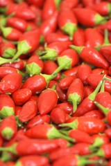 Peperoncino
