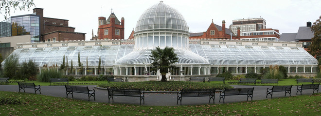 Belfast Botanic Gardens - obrazy, fototapety, plakaty