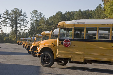Fototapeta na wymiar Line of School Buses