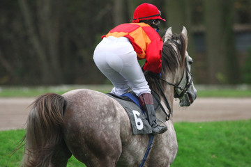 horse and jockey at race-course, up to the finish