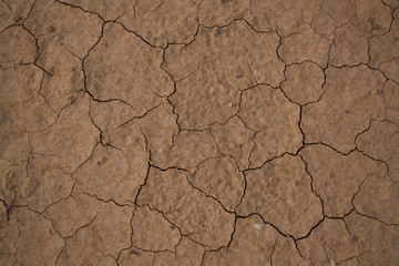 cracked earth