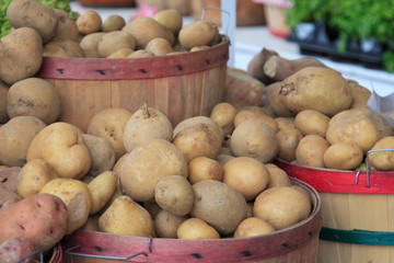 Bushels of Potatoes