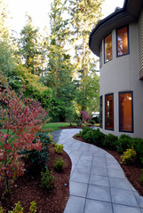 Walkway in the back of the house