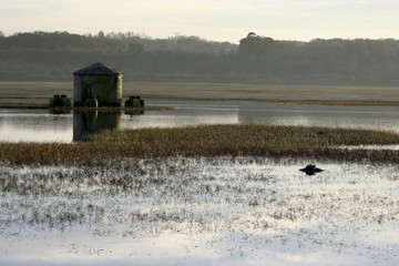 Fototapeta premium Marais d'Orx