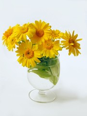 yellow marigold flowers in glass