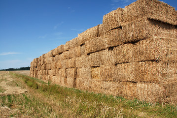 Pile of straw rolls