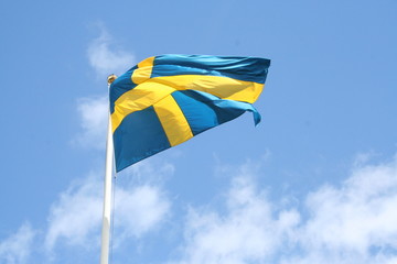 Swedish flag a windy summer day