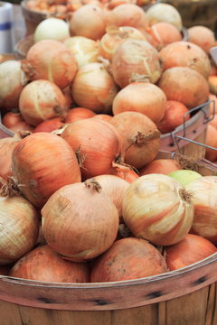 Bushels of fresh picked onions at a roadside market