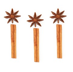 aniseed and cinamon on white background
